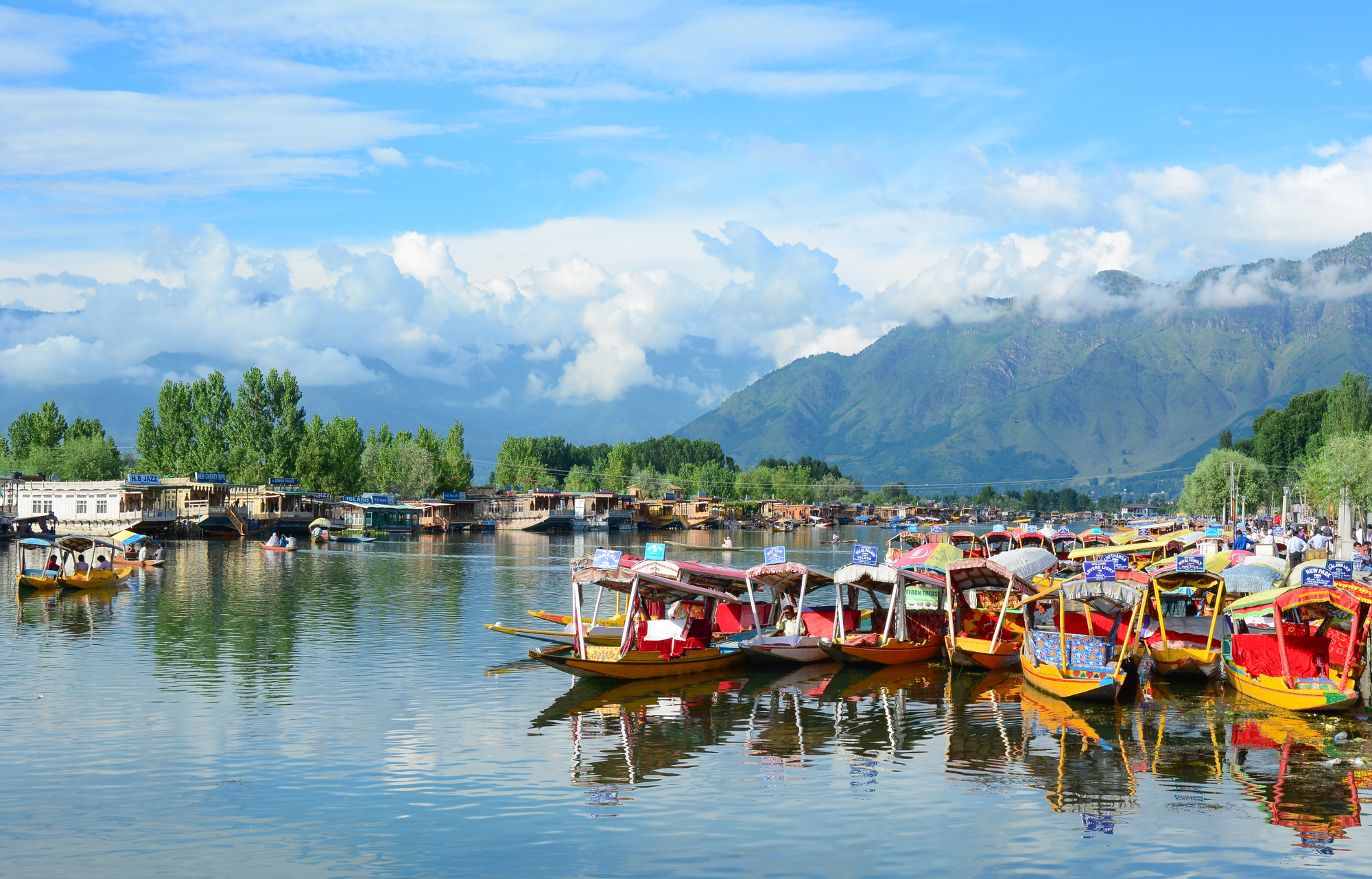 Srinagar